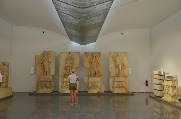 Animaux de compagnie exotiques : une mode captivante mais risquée pour l'équilibre de notre écosystème.