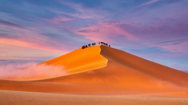 Liste des expériences à ne pas manquer à la dune du Pilat