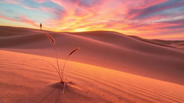 Liste des expériences à ne pas manquer à la dune du Pilat