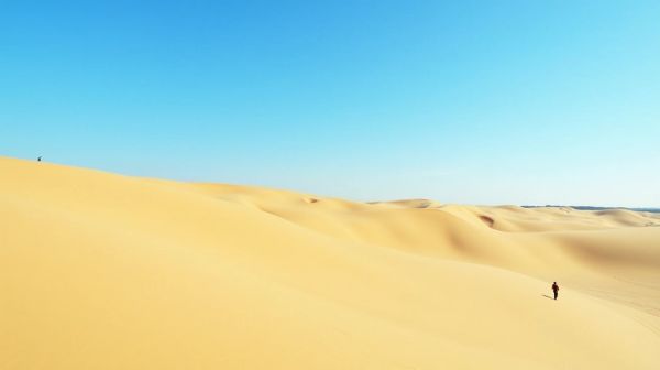 Quels sont les points incontournables d'une visite à la dune du Pilat ?